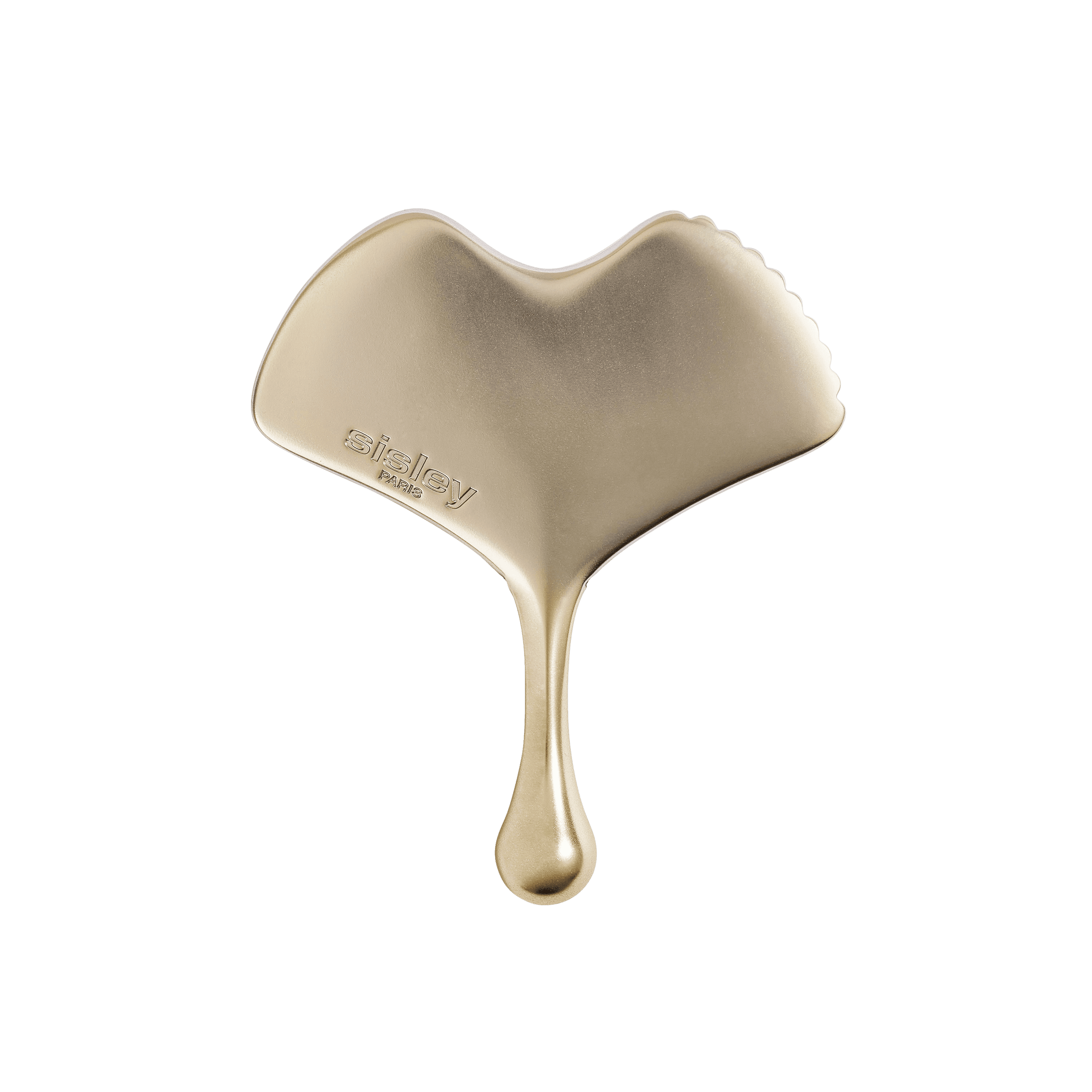 Ginkgo Gua Sha - Image 1
